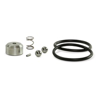 Check Valve Repair Kit