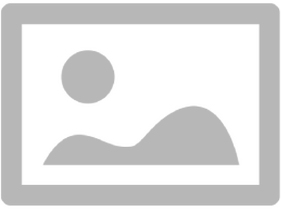 SANDBOT